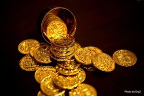 bitcoin coins gold money currency N6