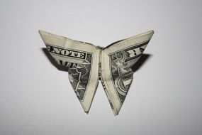 Dollar banknote in shape of butterfly