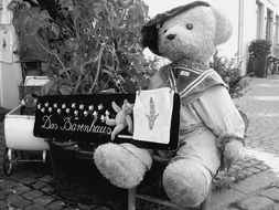 teddy bear with musical instrument in black and white background