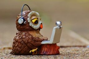 advanced owl is sitting at the computer