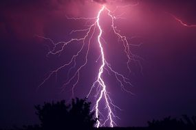 purple thunderstorm and lightning hitting a big tree