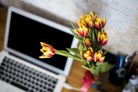 Tulips near computer laptop keyboard