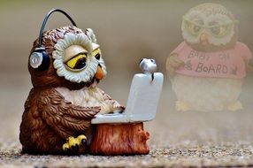 owl listening to music and searching the web