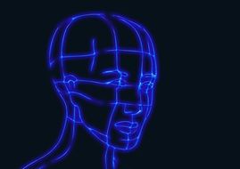 head wireframe graphics model 3d drawing