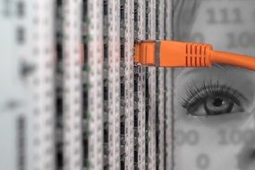patch cable to a server on the background of the eye