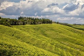 wild outdoors landscape