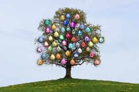 internet network in the form of a tree