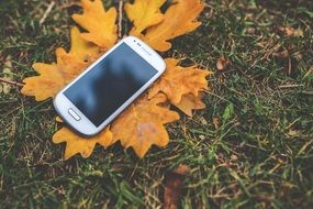 mobile phone on yellow leaf