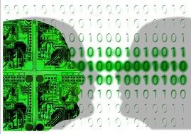 the head of the chip image and the binary system