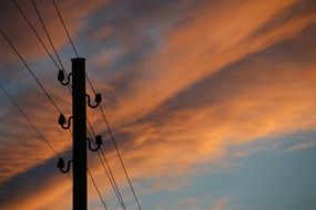 telephone line on the evening sky background
