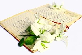 poetry book and Flowers