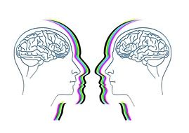 the picture of the human brain and its role in the psychology of relationships