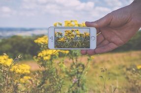 flowers on phone