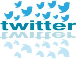 tweeter symbol