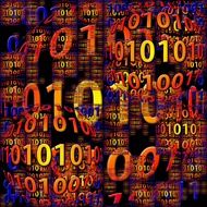 information in a binary code