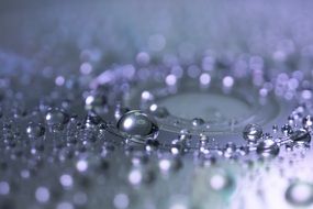 Macro Photo of drops of water