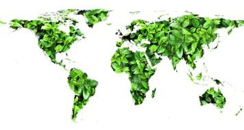 green world map close up