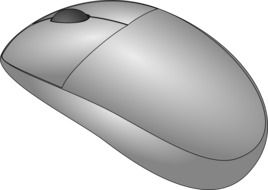 gray computer mouse on a white background