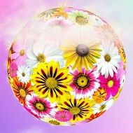 flower ball on a soft purple background