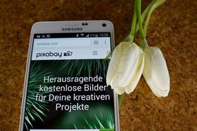 Mobile phone "samsung" against a background of white tulips