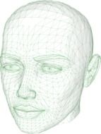 graphics 3d model of a head