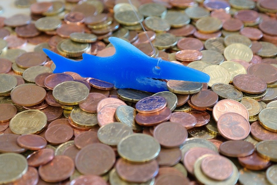 toy shark on coins