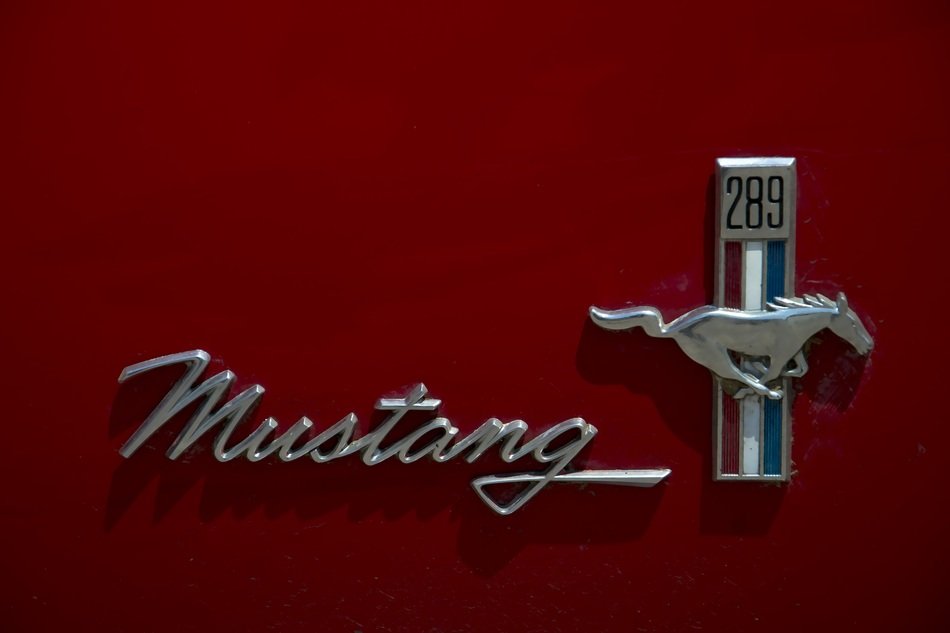 mustang car logo