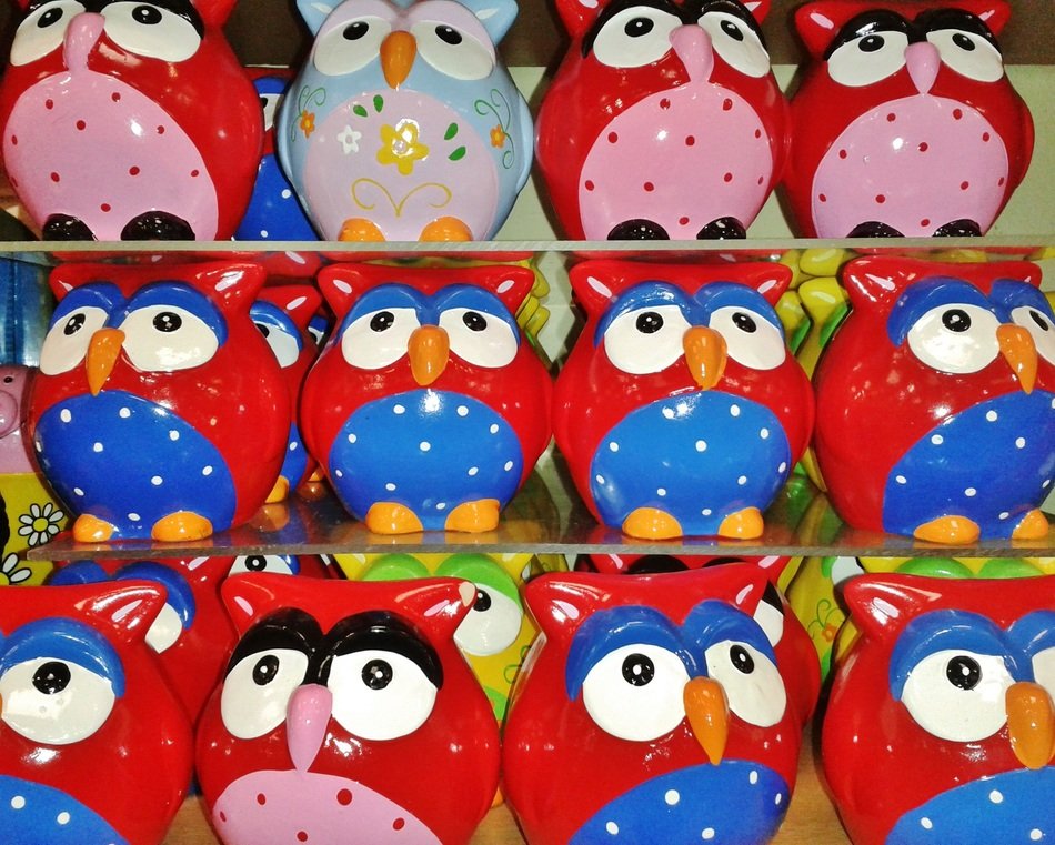 owls animals bird