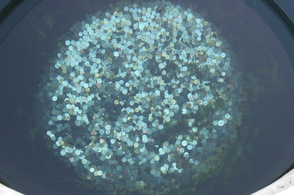 coins in water