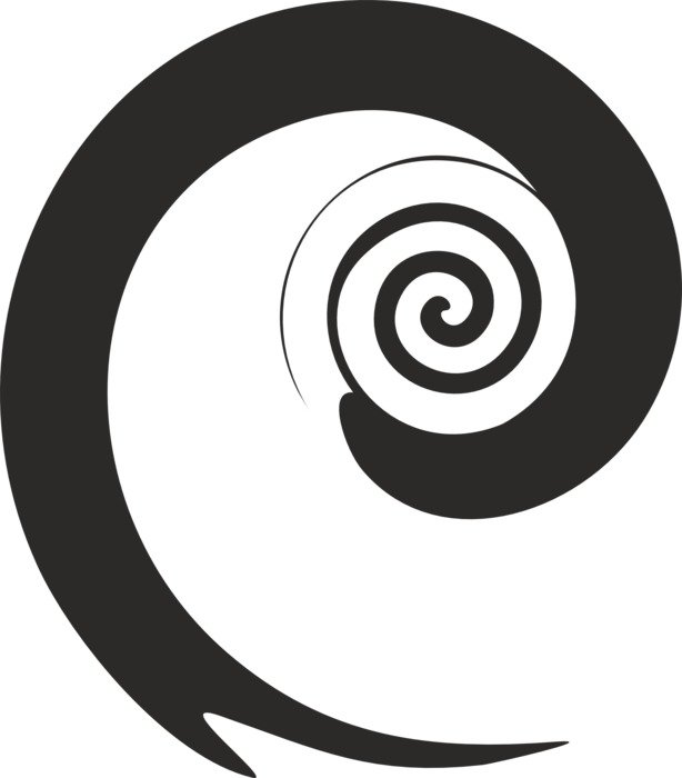 black ornament snail