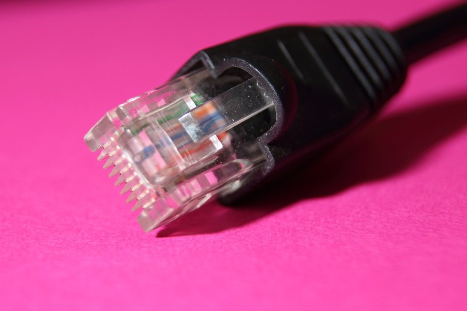 Plug on a pink background