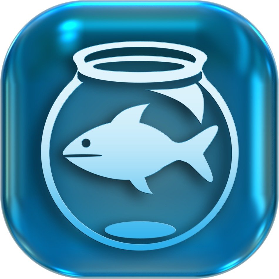 social network icon with the image of fish