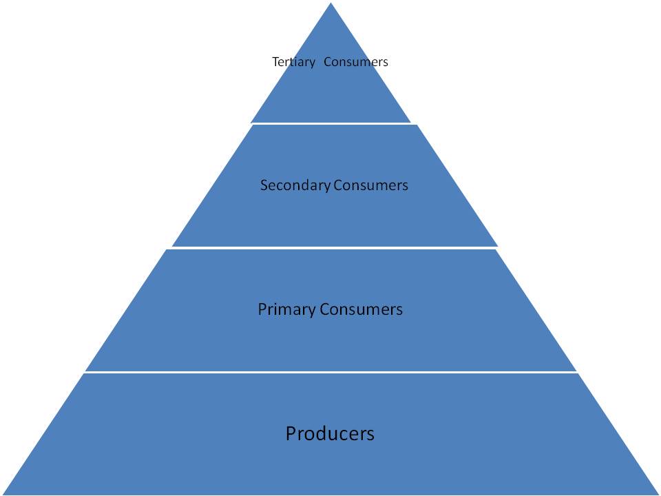 Blank Energy Pyramid drawing free image download