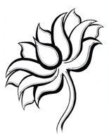 nice Lotus Flower Drawing