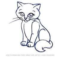 Cat Drawings