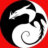 Dragon Yin Yang Symbo drawing