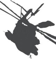 Helicopter Silhouette Clip Art N9