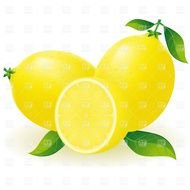 Cartoon Lemon Clip Art N32