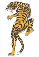 Tiger Tattoo Designs drawing