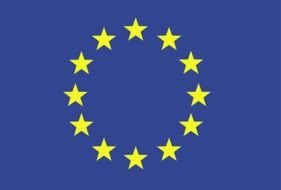 european union flag
