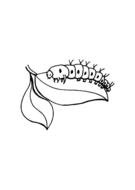 black and white drawing caterpillars on leaves