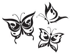 three butterflies as an illustration