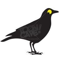 Black Crow Cartoon N5