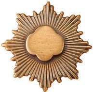 Girl Scout Bronze Award Pin