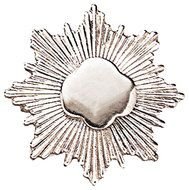 Girl Scout Silver Award