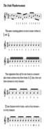 musical piece in notes