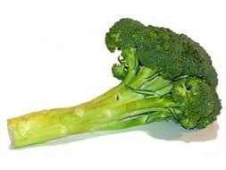 Broccoli Clip Art drawing