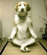 Posted On December 23 2012 By Grappig Plaatje