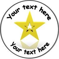 Gold Star Award N2