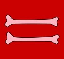 two bones on the red background